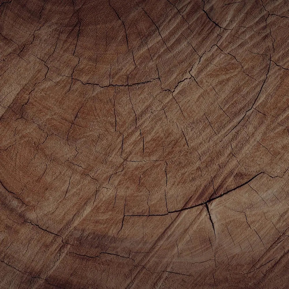 Hermetica Paris | Woody Bow