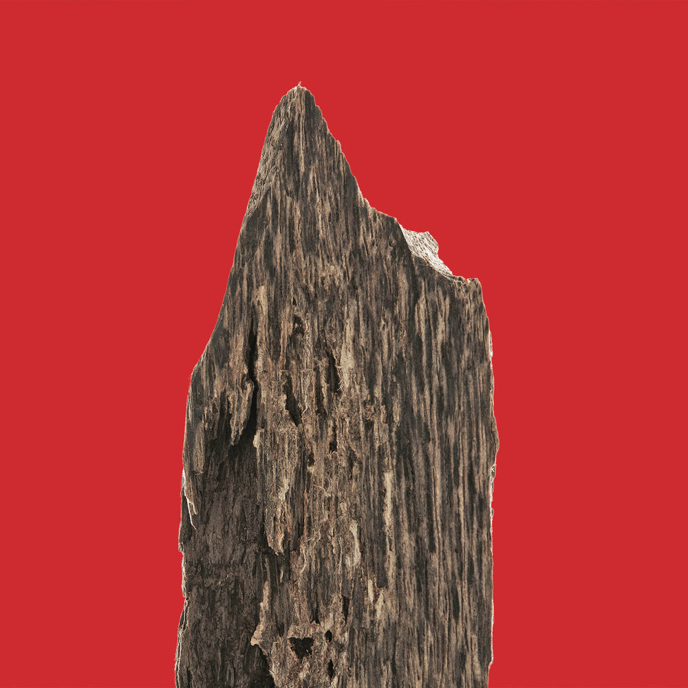 Hermetica Paris VERTICALOUD Eau de Parfum